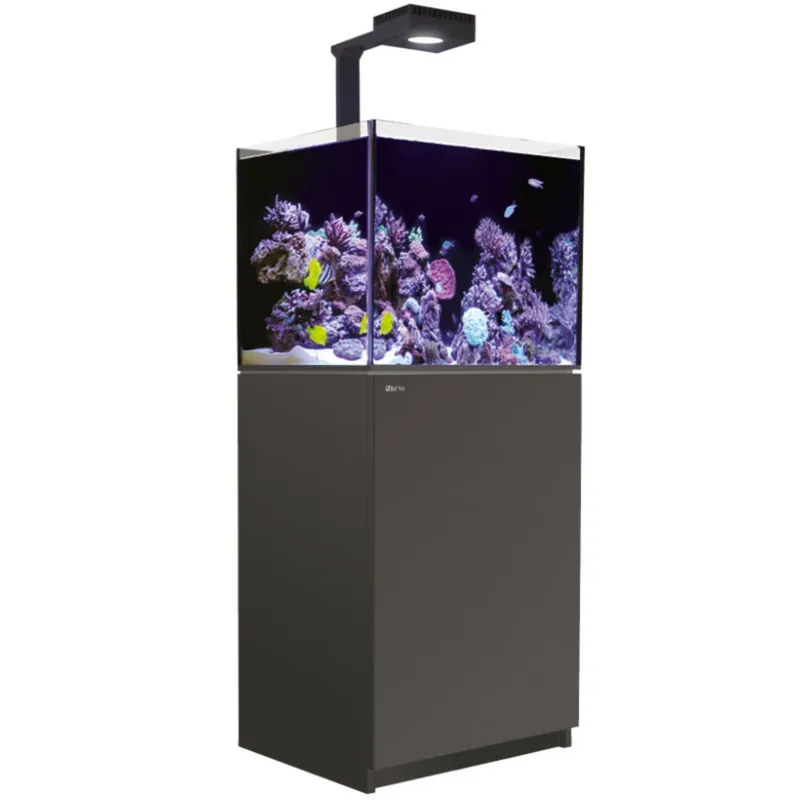 Preis Gesenkt Red Sea REEFER MAX G3 200 - schwarz