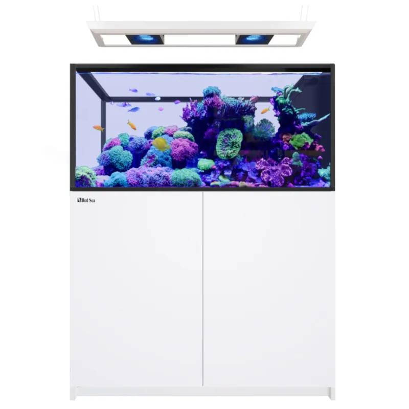 Neue Kollektion Red Sea REEFER MAX Peninsula 500 G3 - weiß