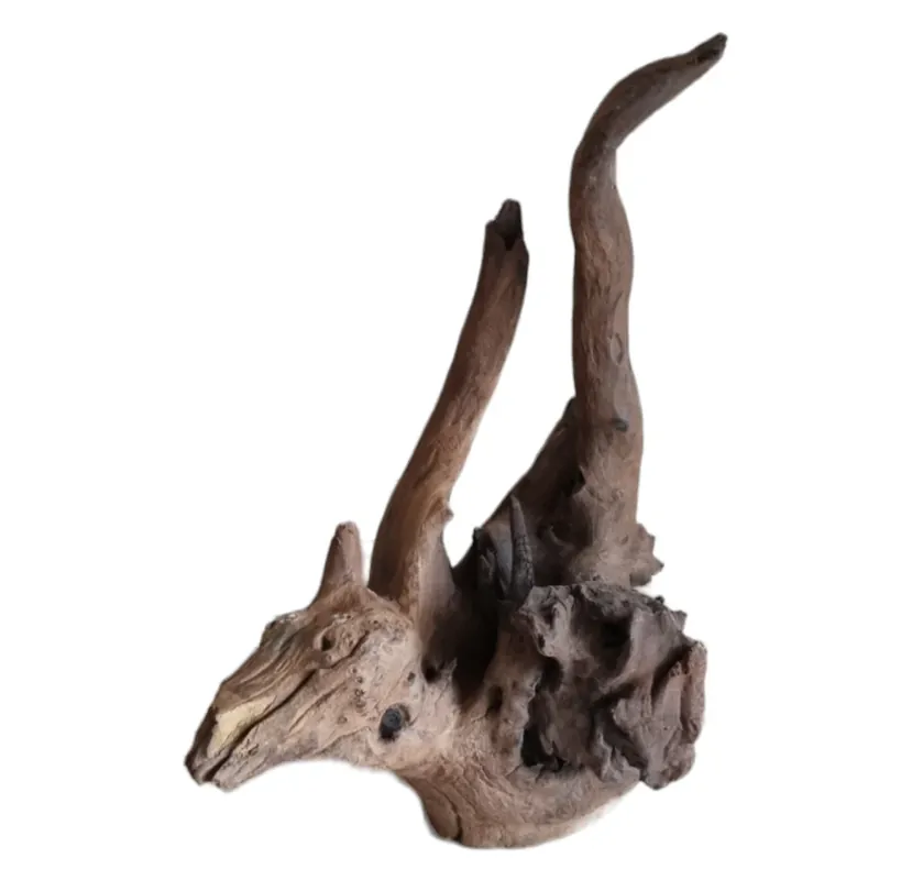 Driftwood / Flusswurzel Nr. 251 Knallerangebot