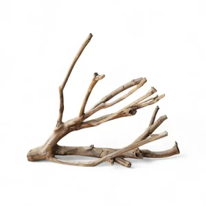 Talawa Holz/Wood 30-45cm Nr. 241 Saisonangebot