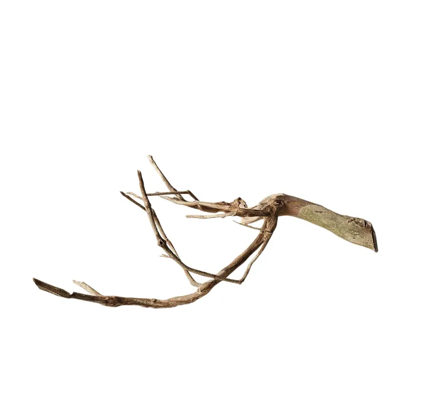 Talawa Holz/Wood 30-45cm Nr. 231 Kracherpreis