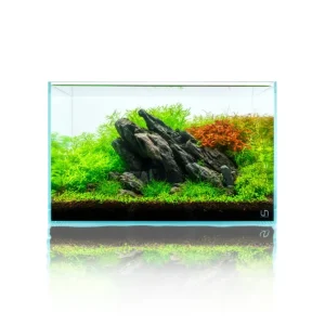 UNS Randlose Aquarien - Standard 45 U Zertifiziert
