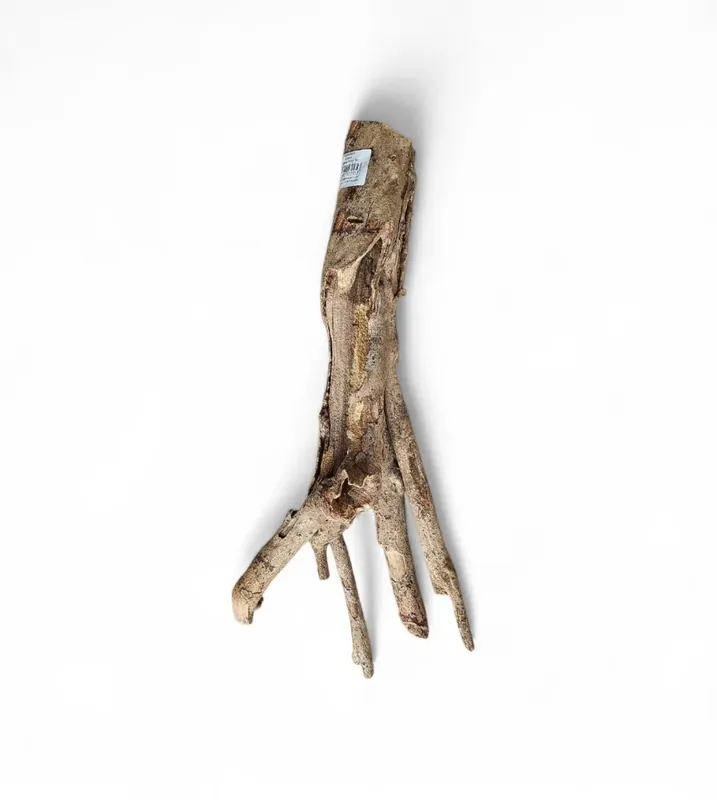 Talawa Holz / Wood 30-45 cm Nr. 161 Jetzt Kaufen