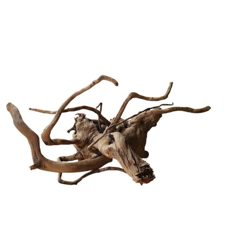 Dunkle Moorwurzel 40-55 cm Nr. 599 Angebot