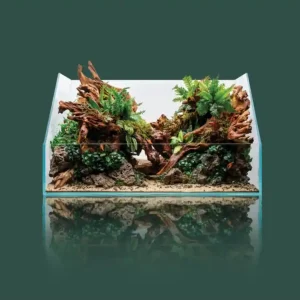 UNS Paludarium UNS Paludarium 5E (36*22*11cm/22cm/5mm) Nur Für Kurze Zeit