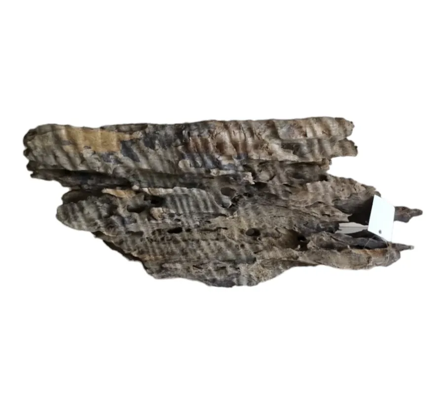 Drachenholz / Dragonwood XL Wurzel416 Versand Am Gleichen Tag