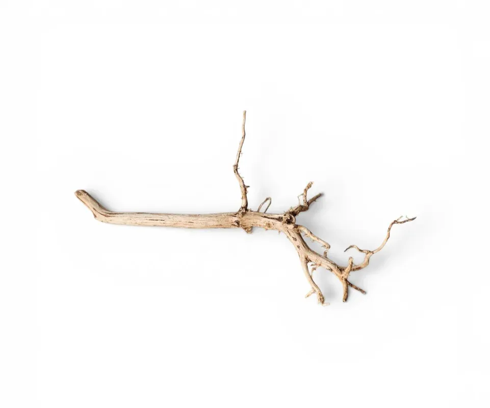 Saisonangebot Dark Snake Wood Nr.447