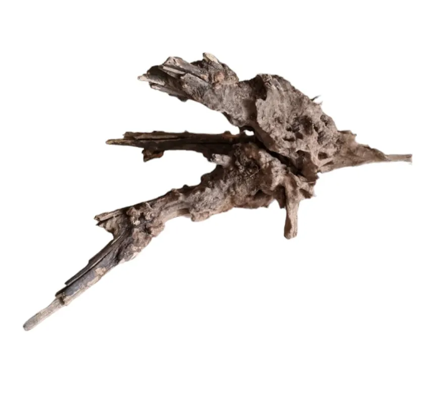 Knallerangebot Coral Sinker Wood Nr.566