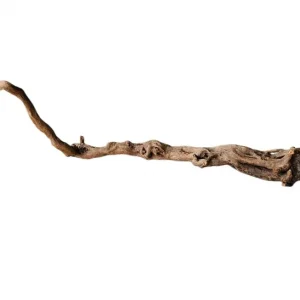 Coral Sinker Wood Nr.604 Direkt Vom Hersteller