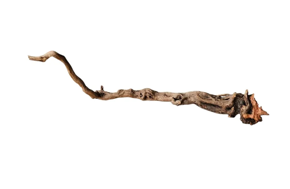 Coral Sinker Wood Nr.604 Direkt Vom Hersteller