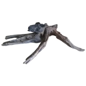Geprüft Coral Sinker Wood Nr.631