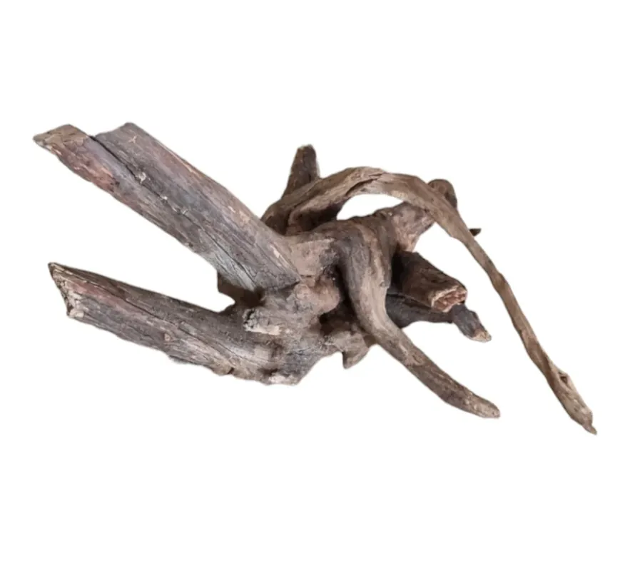 Coral Sinker Wood Nr.645 Bestpreis