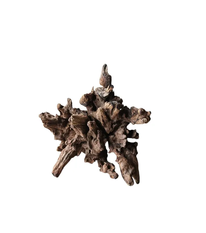 Expressversand Coral Sinker Wood Nr.649