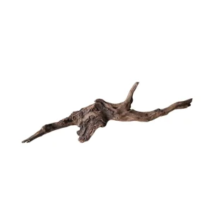 Angebot Coral Sinker Wood Nr.652