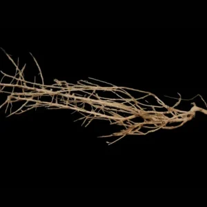Direkt Vom Hersteller Small tree branches Nr.664