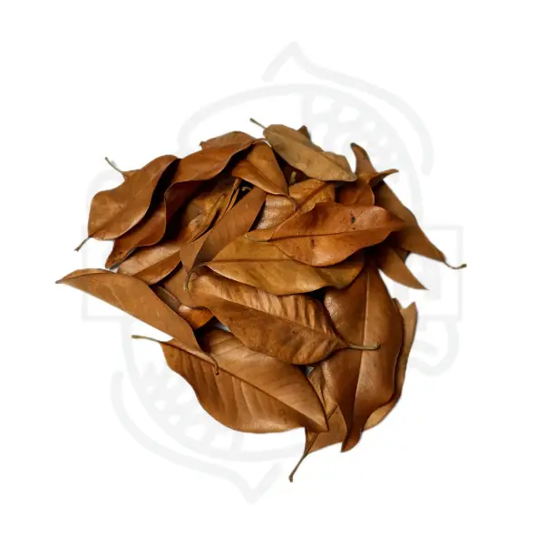 Magnolienblätter ( 30 Stück ) Finale Aktion