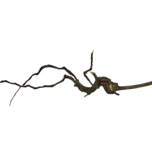 Abverkauf Black Root Nr.762