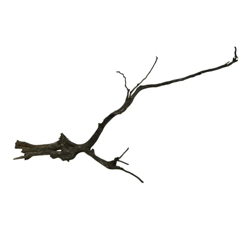 Black Root Nr.765 Echt
