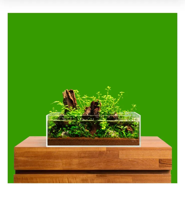Preis Gesenkt UNS Aquarium Lang 60L (60 x 20 x 20 cm)