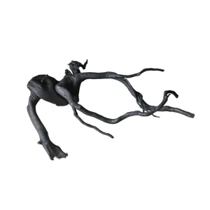 Aktuell Schwarze Moorwurzel M (25-30 cm) Nr. 169
