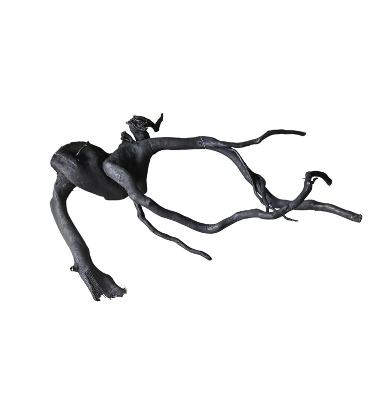 Aktuell Schwarze Moorwurzel M (25-30 cm) Nr. 169