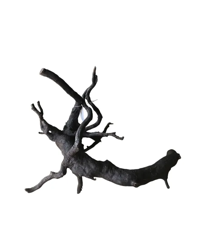 Finale Aktion Schwarze Moorwurzel M (25-30 cm) Nr. 19