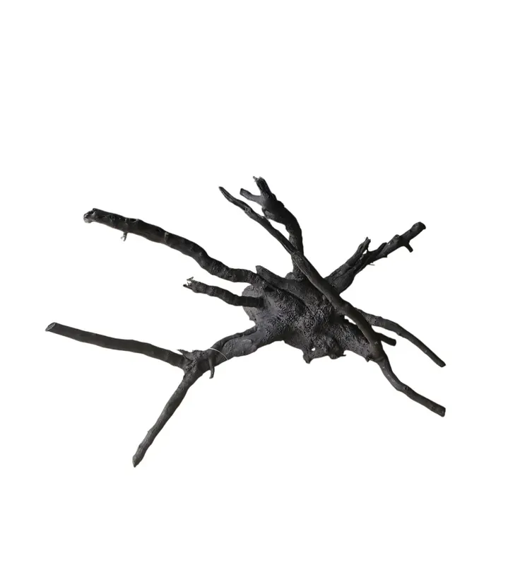 Preisreduziert Schwarze Moorwurzel M (25-30 cm) Nr. 110