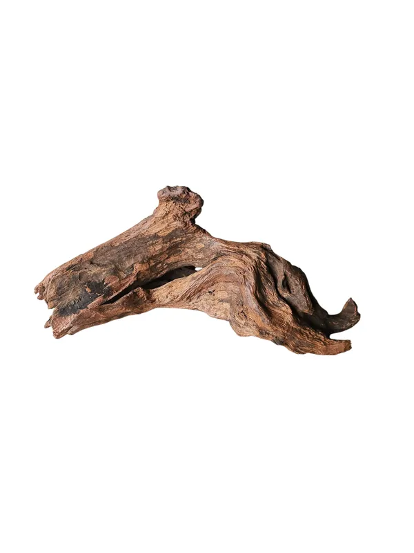 Bestseller Driftwood / Flusswurzel Nr.979