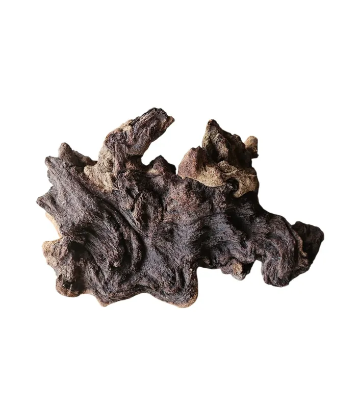 Markenprodukt Mopani Wurzel Nr.823