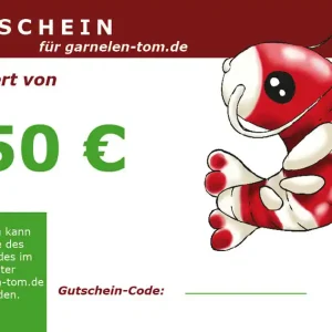 Gutschein 50 Euro Wochenendangebot