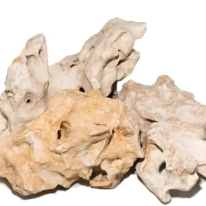 Asiatisches Lochgestein, 1 kg Kein besonderer Wunsch Letzte Chance
