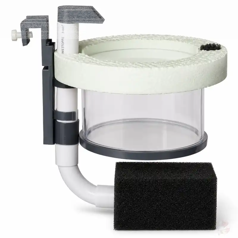 Finale Aktion Aufzuchtring / Breedingbox mit Luftheber | Babygarnelensichere Aufzuchtbox 100 mm