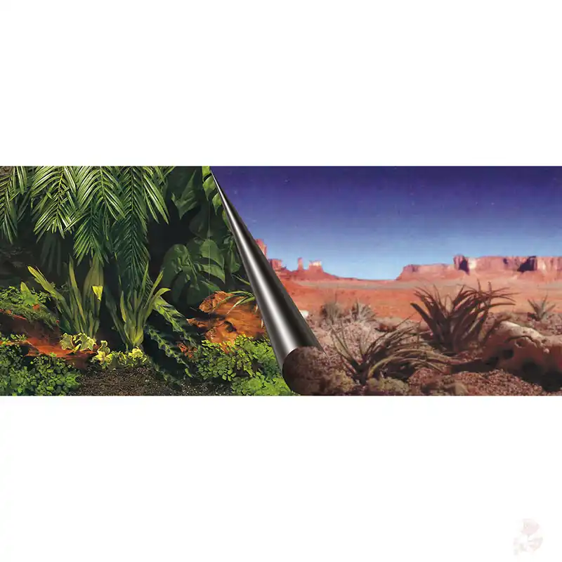 Preisreduziert Aquarium Rückwandfolie Jungle & Dessert | Wendefolie in verschiedenen Größen 60 x 30 cm
