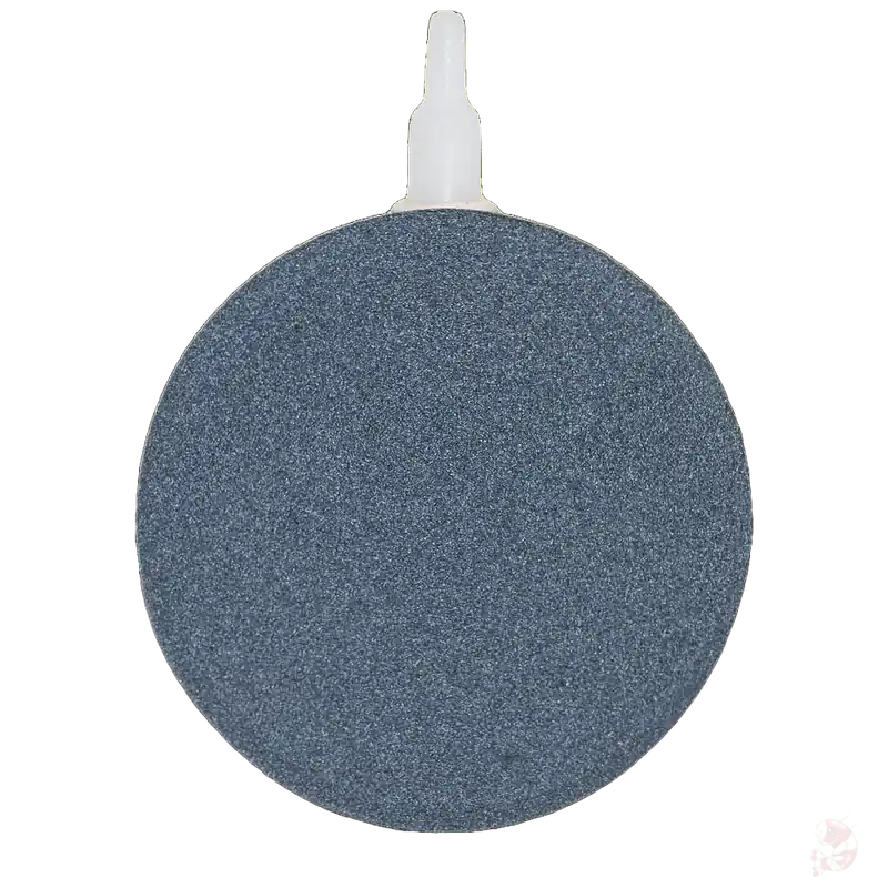 Sonderaktion Ausströmer-Platte, gesintert Ø 150x15mm | Für Teiche & Profi-Anlagen Ø 80 x 15 mm