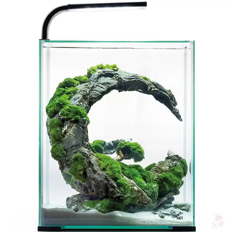 Neuheit Aquael Shrimp Set Day & Night 30 schwarz - 29x29x35 cm, 30 Liter (2.0) Weiß