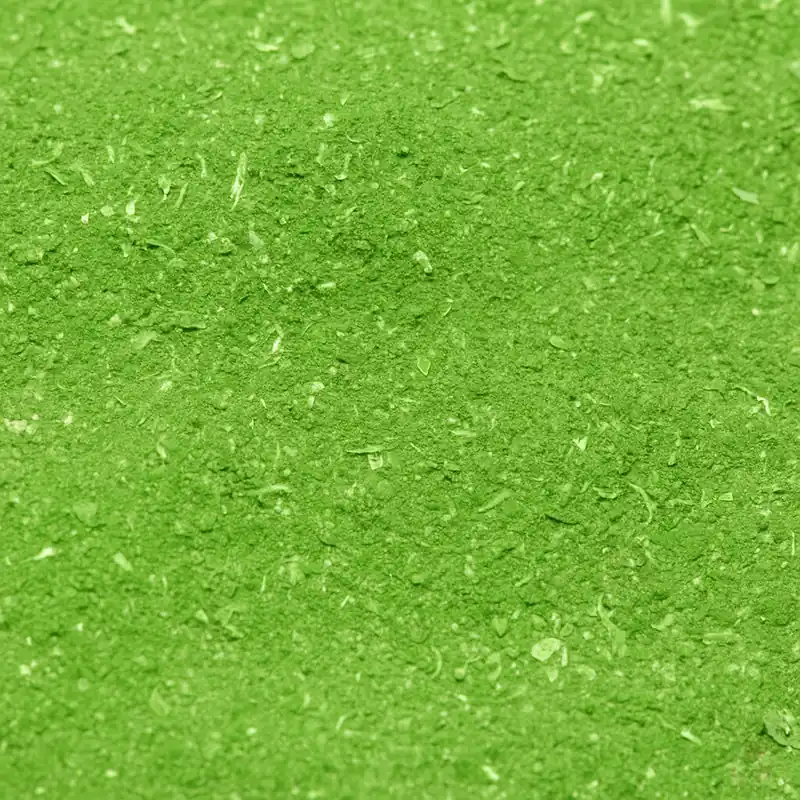 Preisreduziert GT Pfefferminze Puder | Aromatisches Aufzuchtfutter für Garnelen 35 g