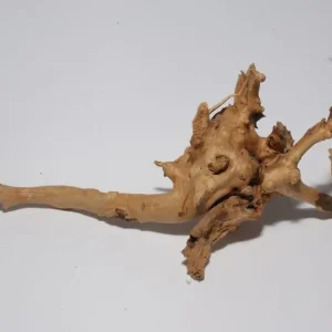 Neu Im Sortiment Moorkien Fingerwurzel #2102 - 20x9x7 cm (LxBxH)