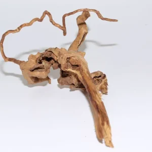 Sonderangebot Moorkien Fingerwurzel "Ringelschwänzchen" - 30x18x13 cm (LxBxH) #1636