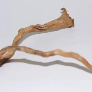 Moorkien Fingerwurzel "Winkelhäkchen" - 20x25x6 cm (LxBxH) #1643 Nur Für Kurze Zeit