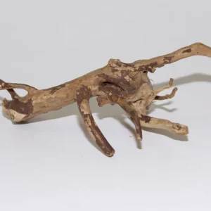 Moorkien Fingerwurzel "Filethölzchen" - 22x12x6 cm (LxBxH) #1652 Super-Preis