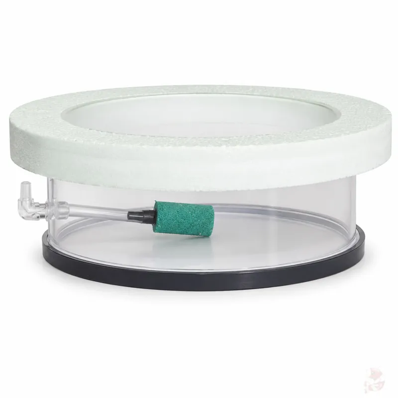 Aufzuchtring mit Sprudelstein - Egg Tumbler Deluxe | Aufzuchtbox für Eier & Jungtiere 100 mm Schneller Versand