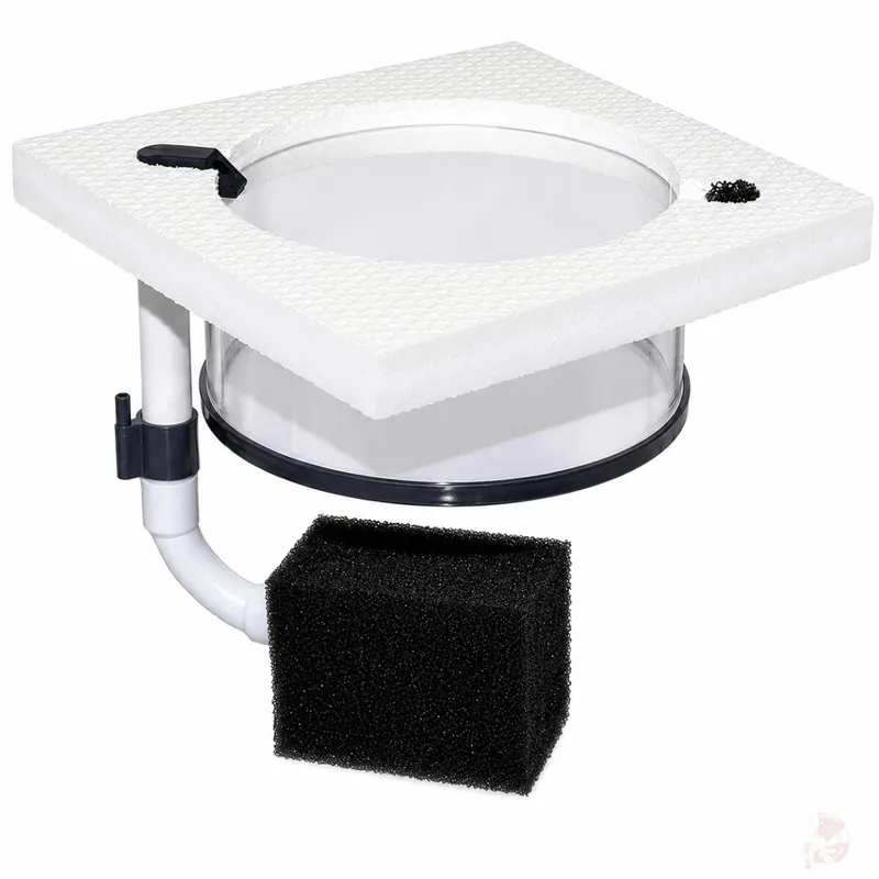 Aktuell Aufzuchtring / Breedingbox quadratisch mit Luftheber | Babygarnelensichere Aufzuchtbox 100 mm