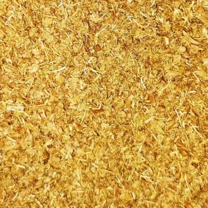 Must-Have Fenchelsamen gerebelt, 20 g