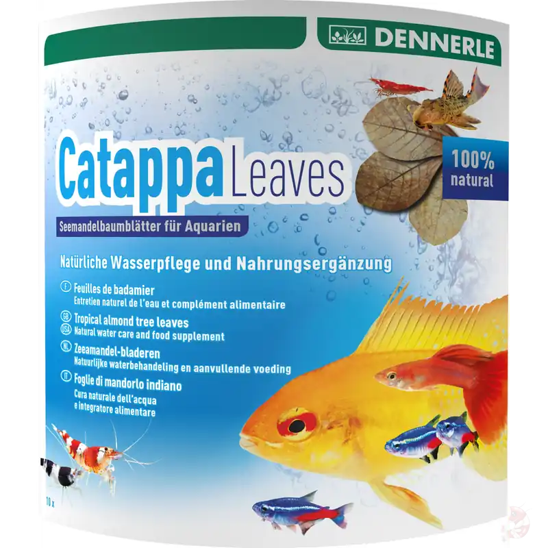 Dennerle Aqua Rico - Catappa Leaves | Seemandelbaumblätter (10 Stk.) Markenware