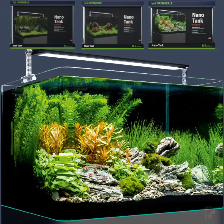 Dennerle Nano Tank Plant Pro 35 Liter Jetzt Kaufen