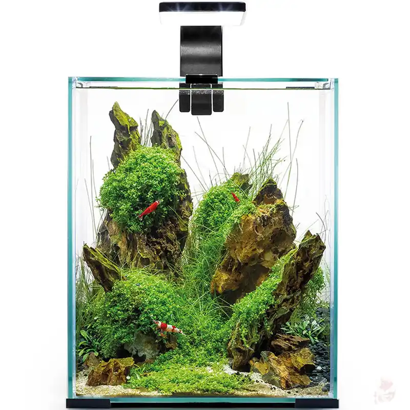 Preis Gesenkt Aquael Shrimp Set Day & Night 30 - 29x29x35 cm, 30 Liter (2.0) Weiß