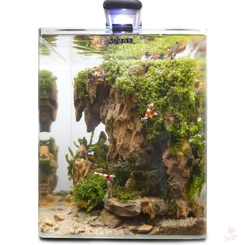 Aquael Optibent Set 20 - Komplettset 25 x 25 x 30 cm ( L xB x H), 19 Liter Weiß Neue Kollektion
