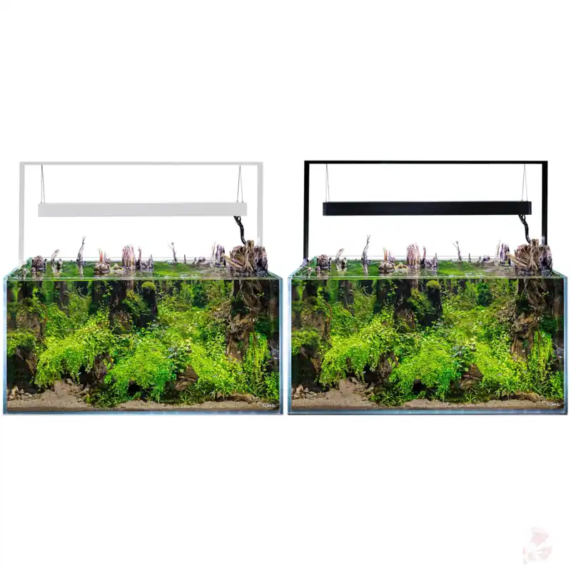 Aquael UltraScape 90 Weißglas Aquarium | 243 l Aquascaping-Aquarium mit LED-Beleuchtung forest (schwarz) Top-Angebot