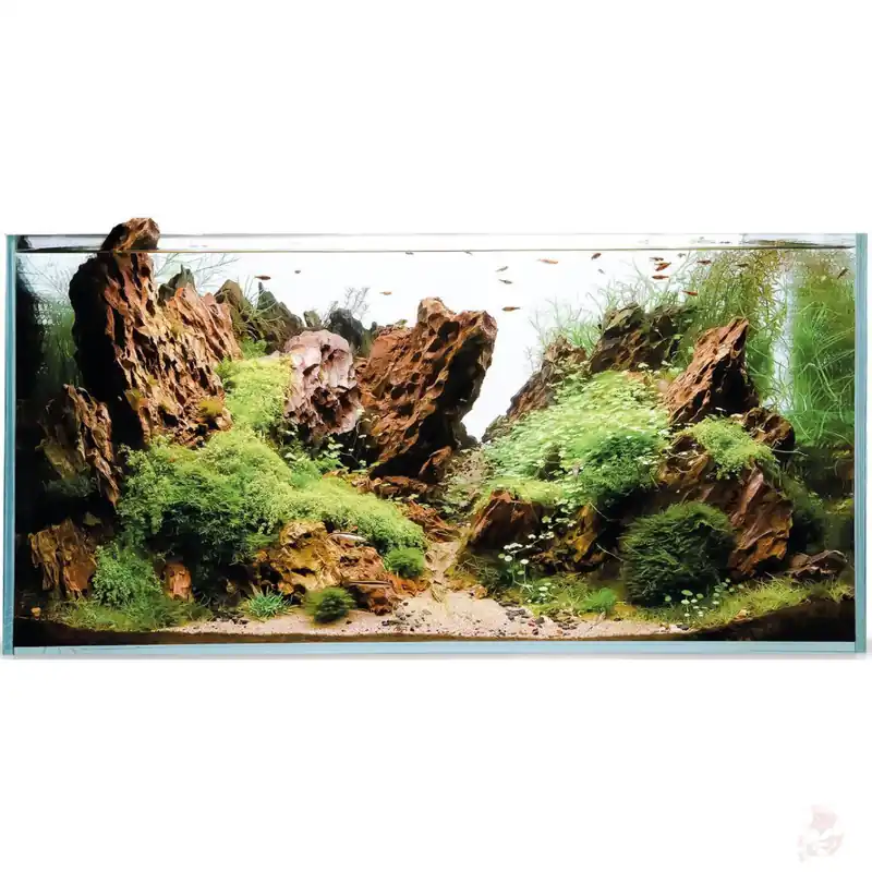 Finale Aktion Aquael UltraScape 60 Weißglas Aquarium ohne Beleuchtung | 64 l Aquascaping-Becken