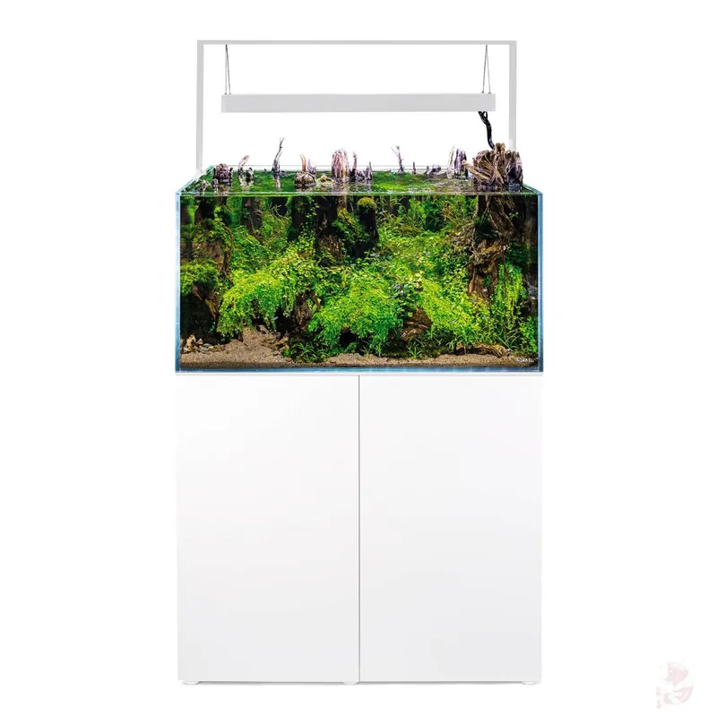 Aquael UltraScape 90 Weißglas Aquarium Kombination Snow | 243 l Set mit weißem Unterschrank forest (schwarz) Markenprodukt